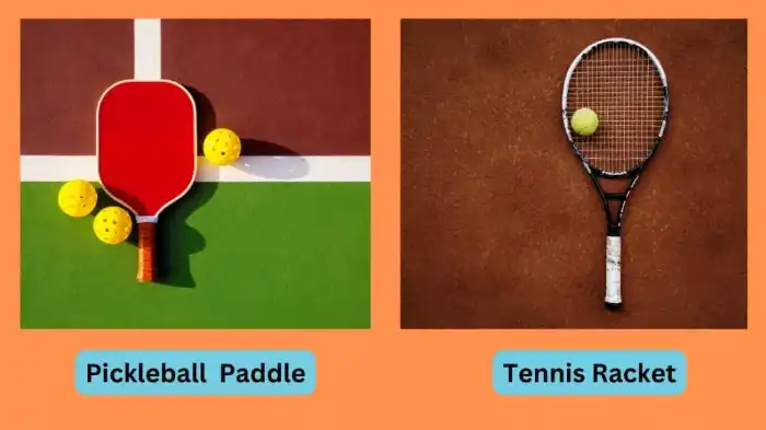 paddle tennis vs pickleball
