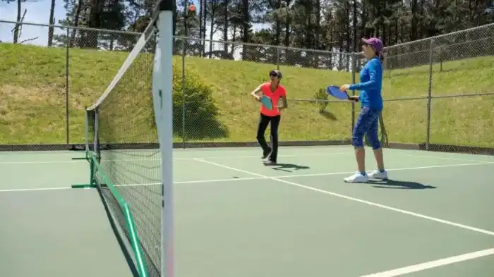Execute A Volley In Pickleball