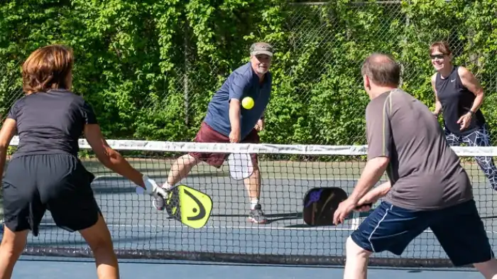 Learn To Play Pickleball