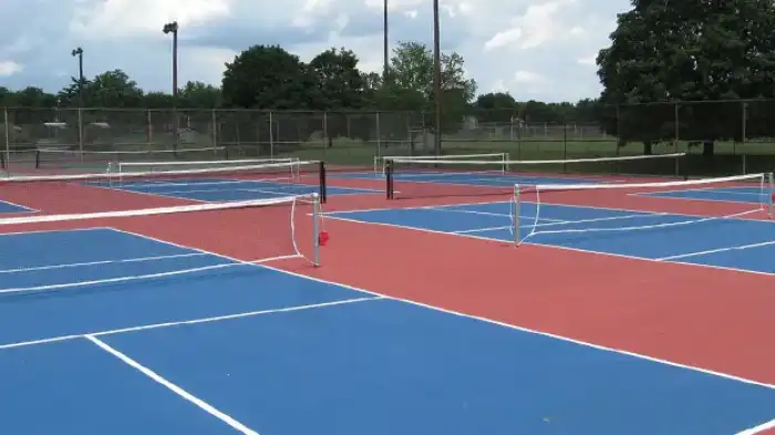 ,cost of a pickleball court