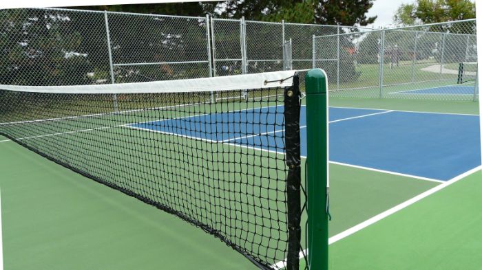 pickleball net vs tennis net
