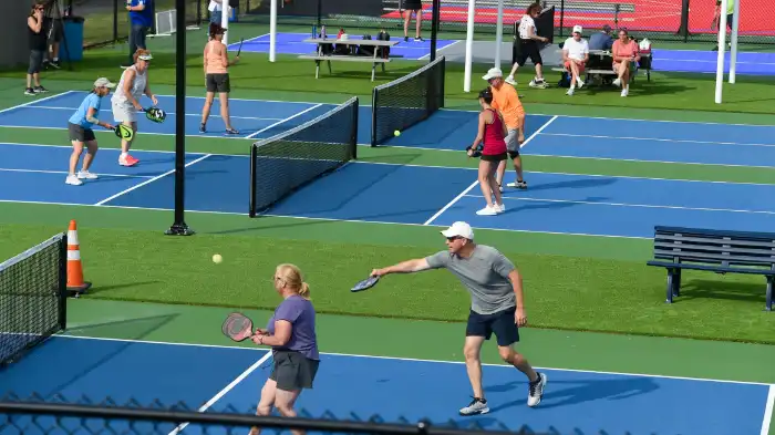 Where did the name pickleball come from
